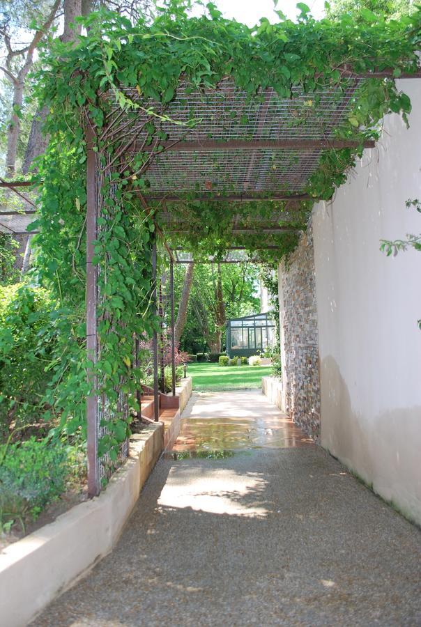 Bed and Breakfast Chateau Sainte Colombe Zewnętrze zdjęcie